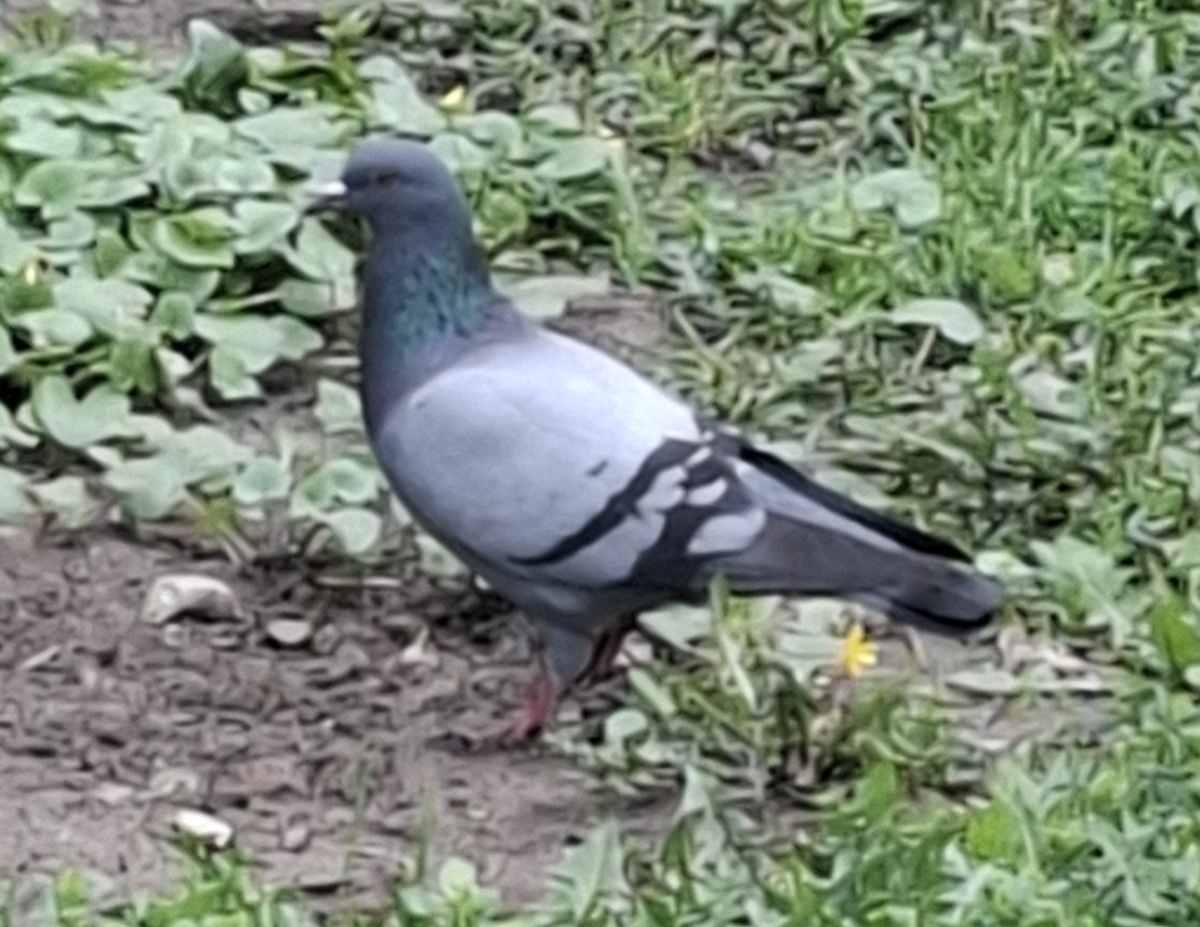 Фото автора.