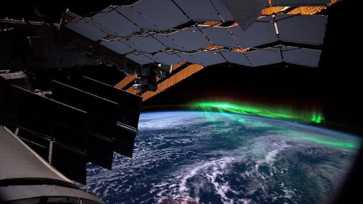    Фото: t.me/oleg_mks