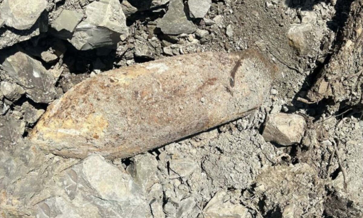    Фото t.me/rosgvard_krasnodar