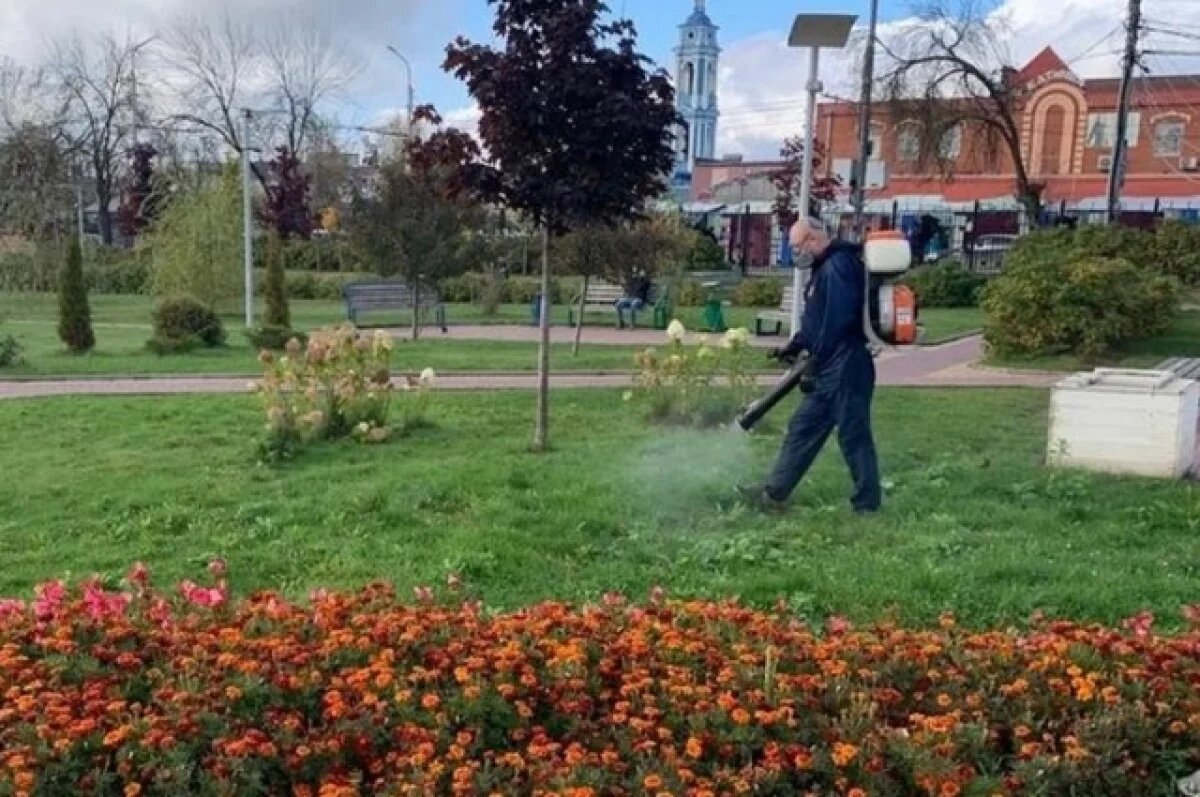   В Калуге скверы и парки обработают от клещей
