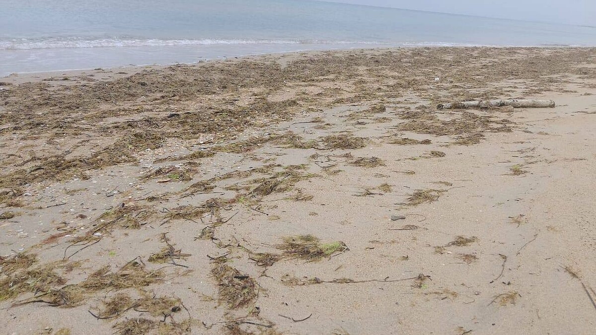    Фото: оперативный штаб Краснодарского края