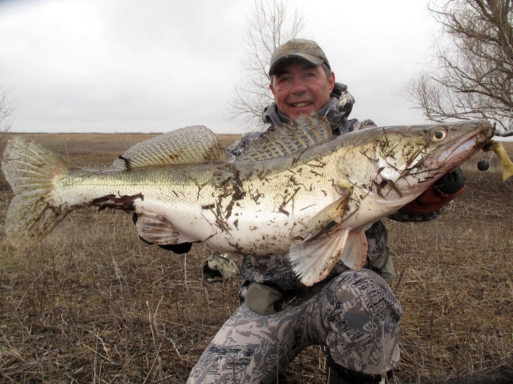 Этот судачок долгое время был рекордным, по уловам на спиннинг с берега