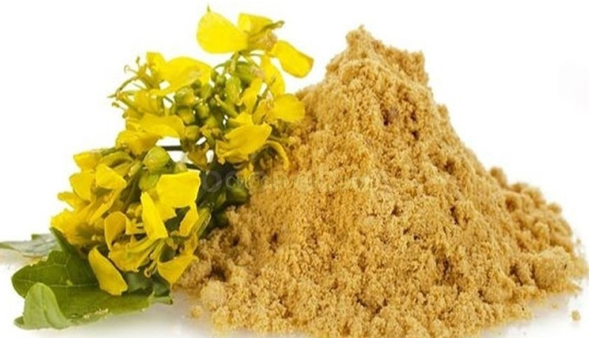 горчичный жмых