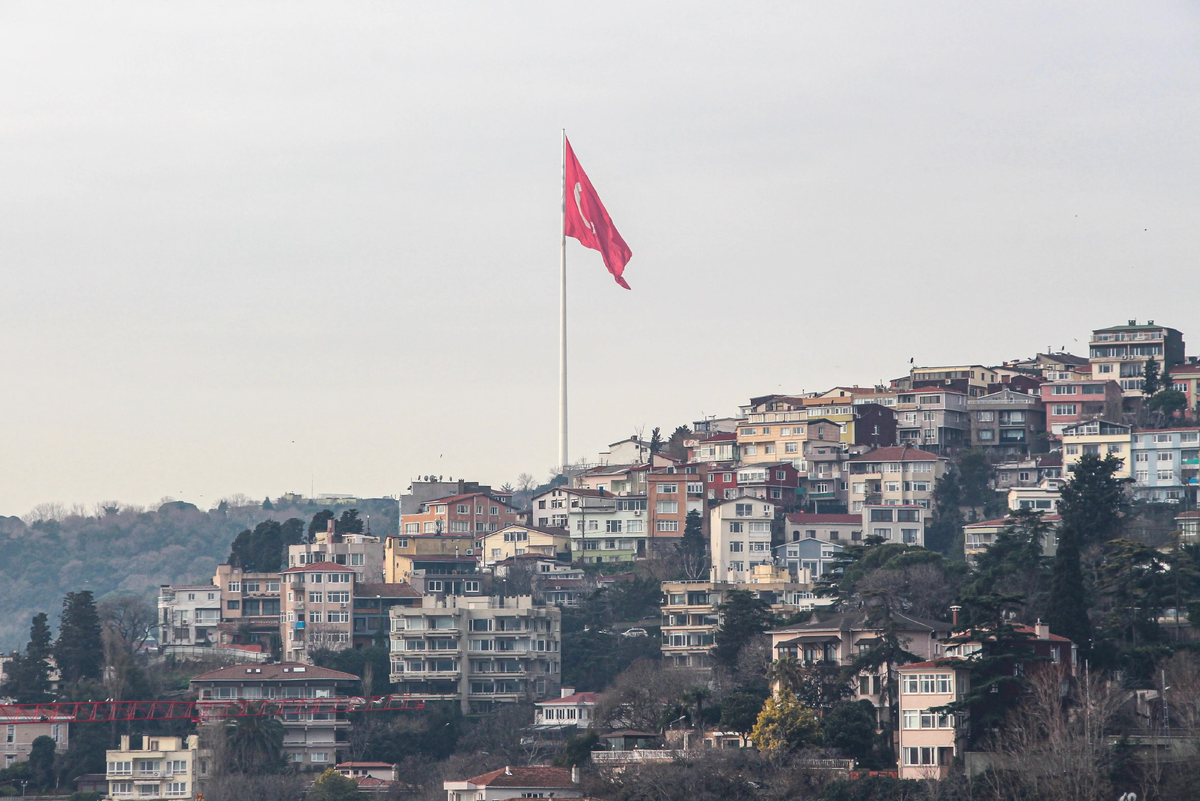 Обложка © Кирилл Жаров/ТАСС
