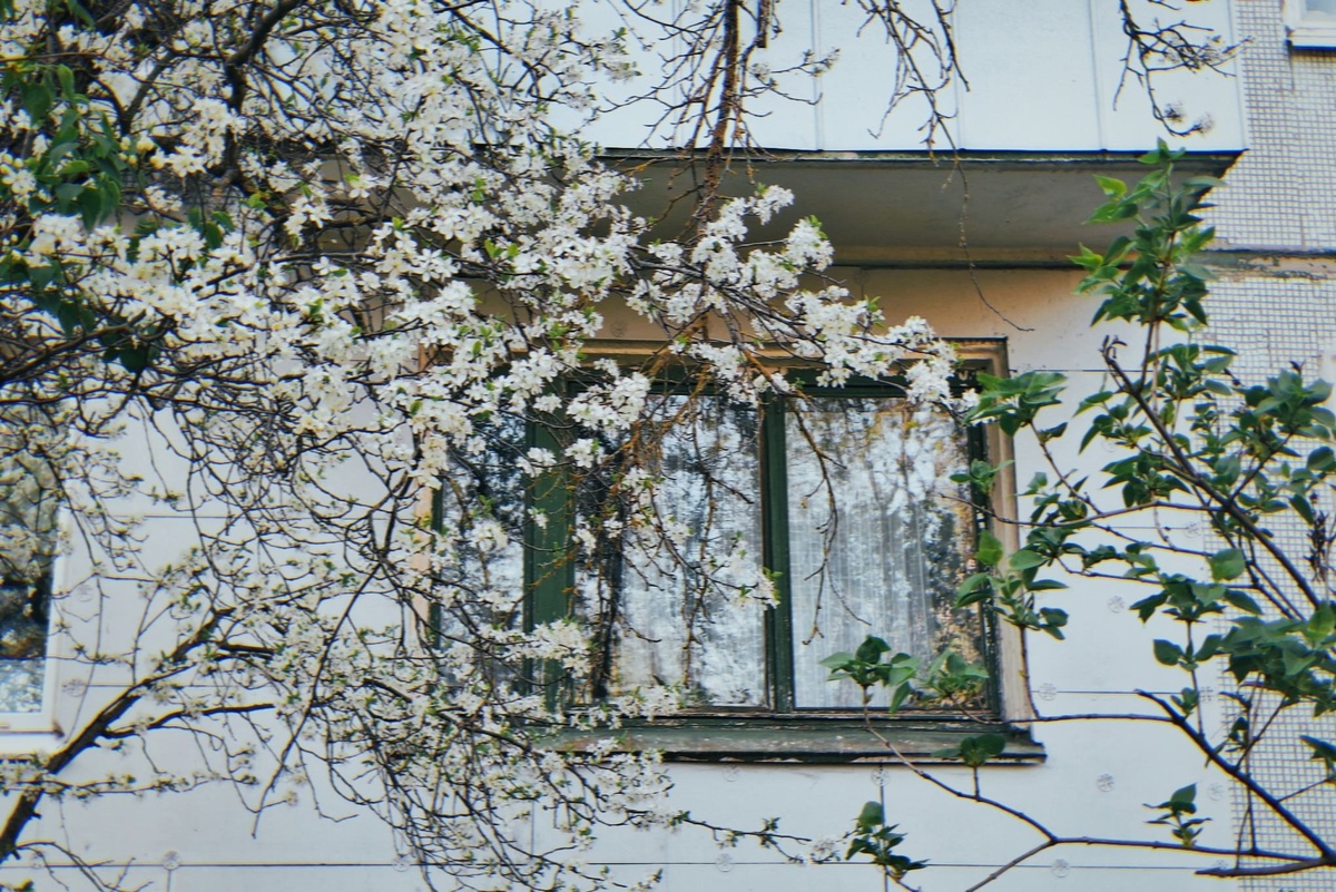 Фото: Кристина Малахина