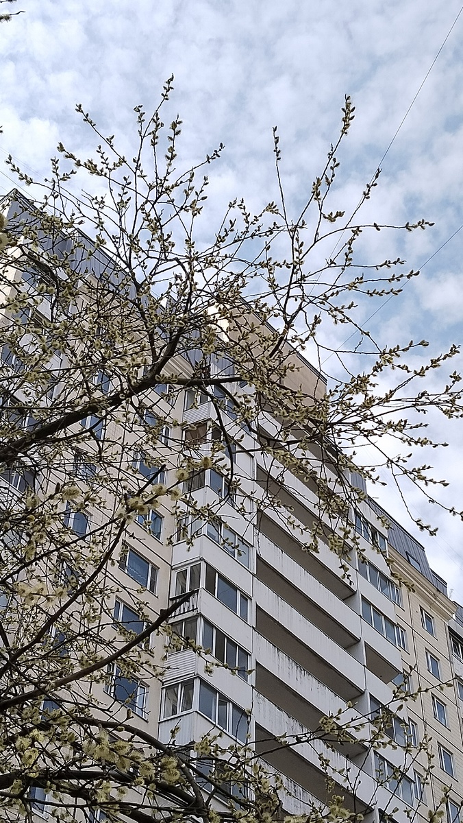 Весна в Питере.