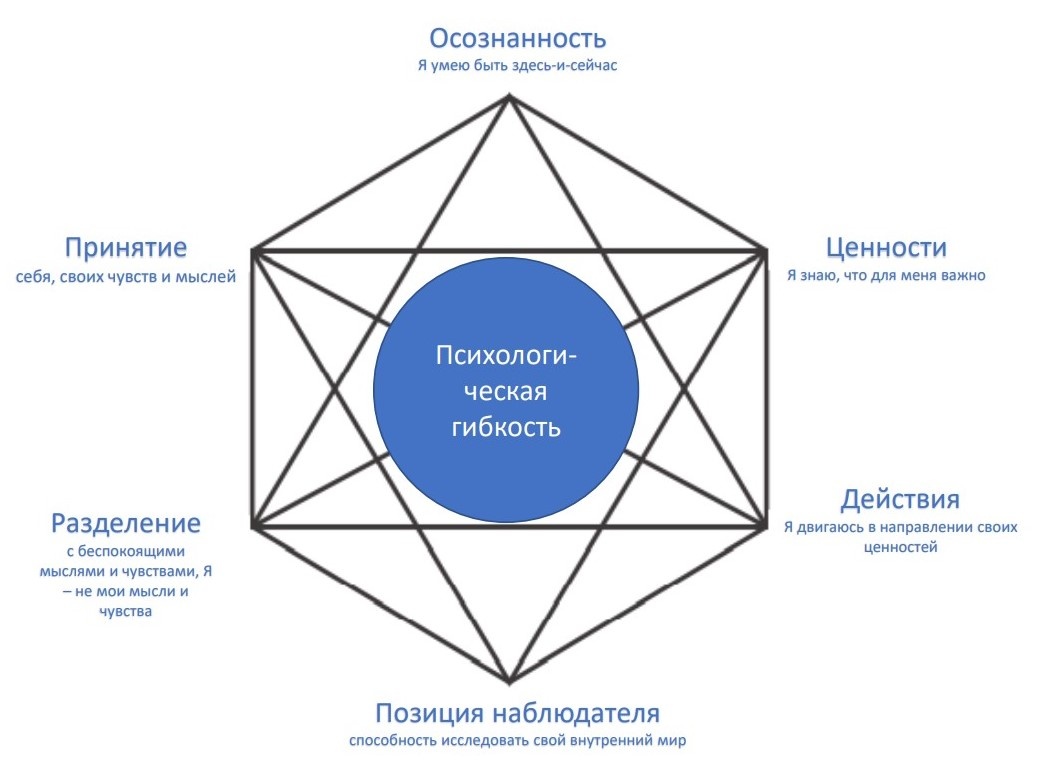 Визуальное представление гексафлекса