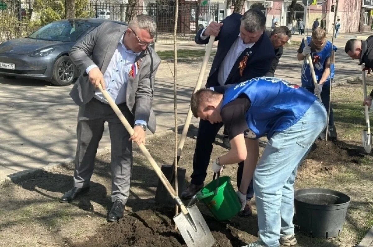    Зеленое возрождение Брянска: горожане объединились для создания города-сада