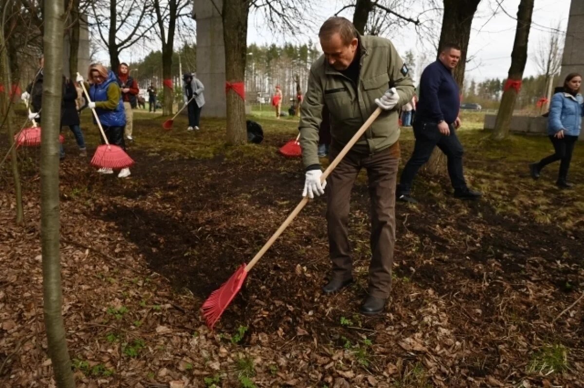    Глава Ленобласти Александр Дрозденко провёл патриотический субботник