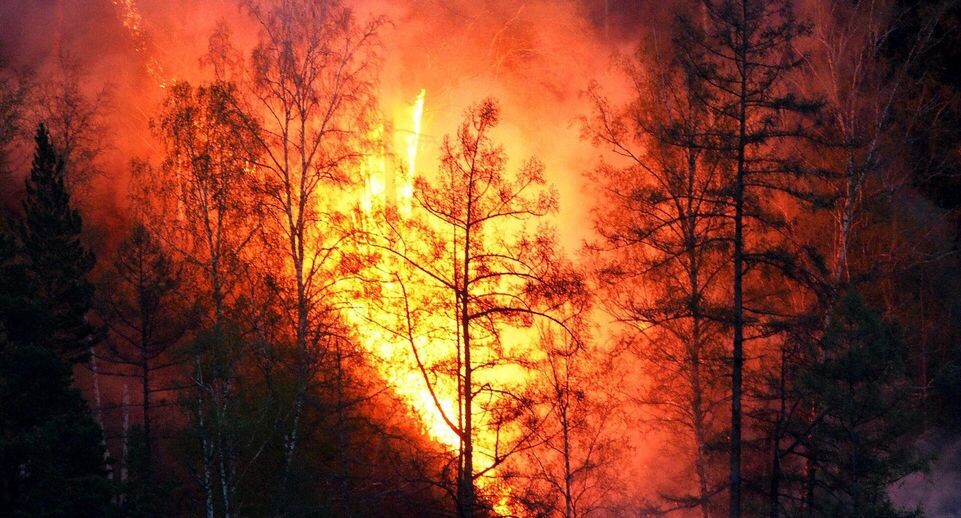    РИА «Новости»