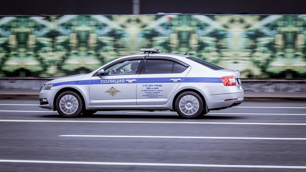    Фото: Haggardous50000/Shutterstock/Fotodom