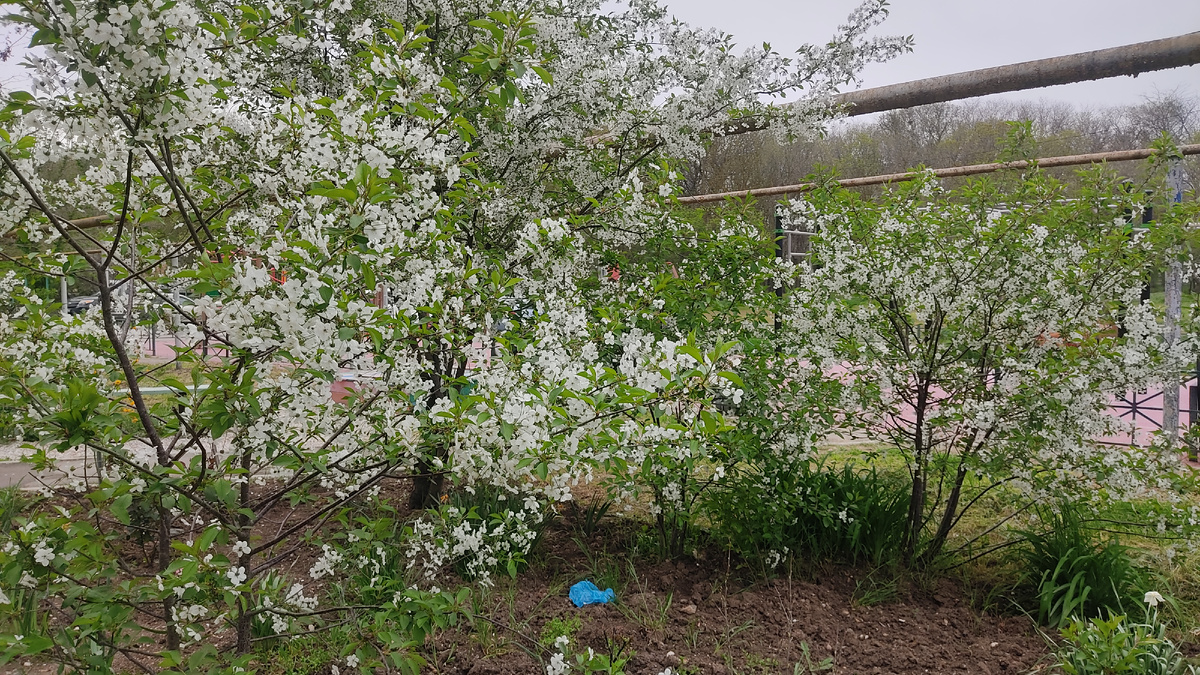 Фото из личного архива 