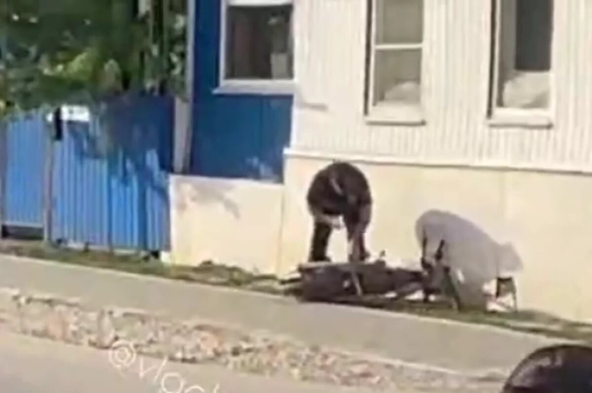    Волгоградцы обсуждают врезавшегося на мопеде в дом полицейского – видео
