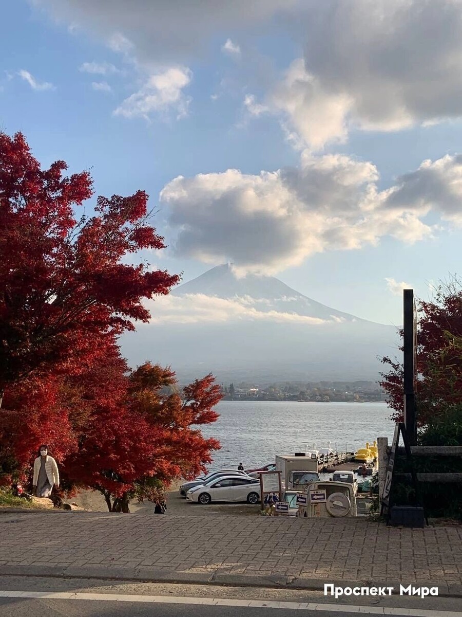     Источник: prmira.ru