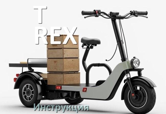 
Руководство пользователя от электроскутера T-REX инструкция PDF на русском