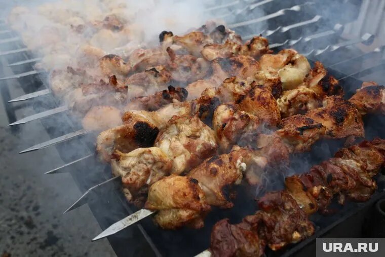 В регионе планируют запретить стихийное приготовление шашлыков. Фото: Денис Моргунов © URA.RU