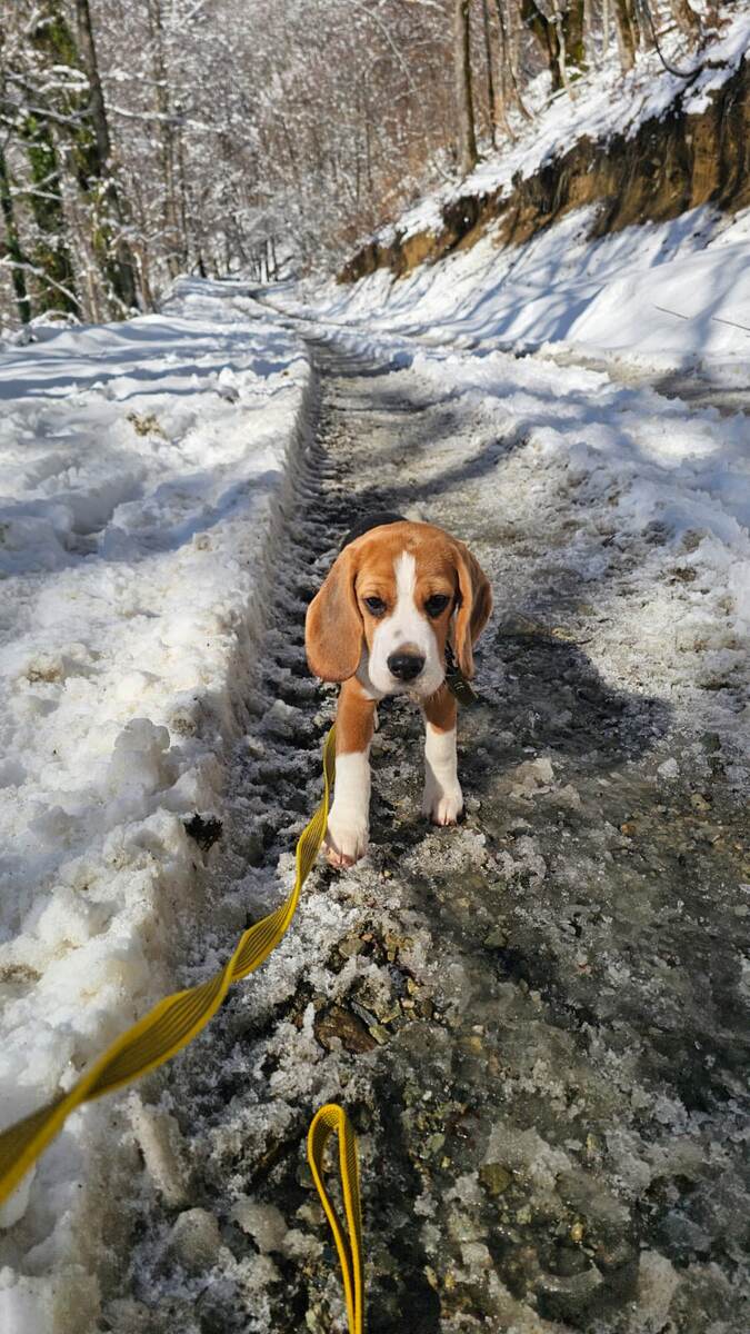 Зима в Красной поляне