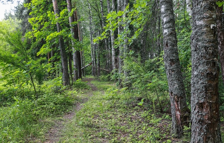    Сергей Булкин/NEWS.ru