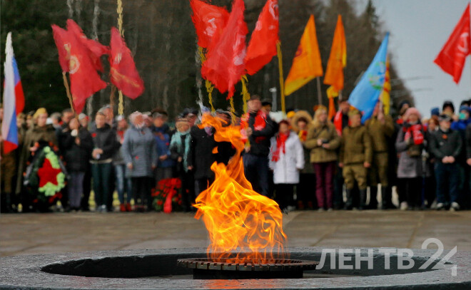    © Анастасия Илюшина / ЛенТВ24