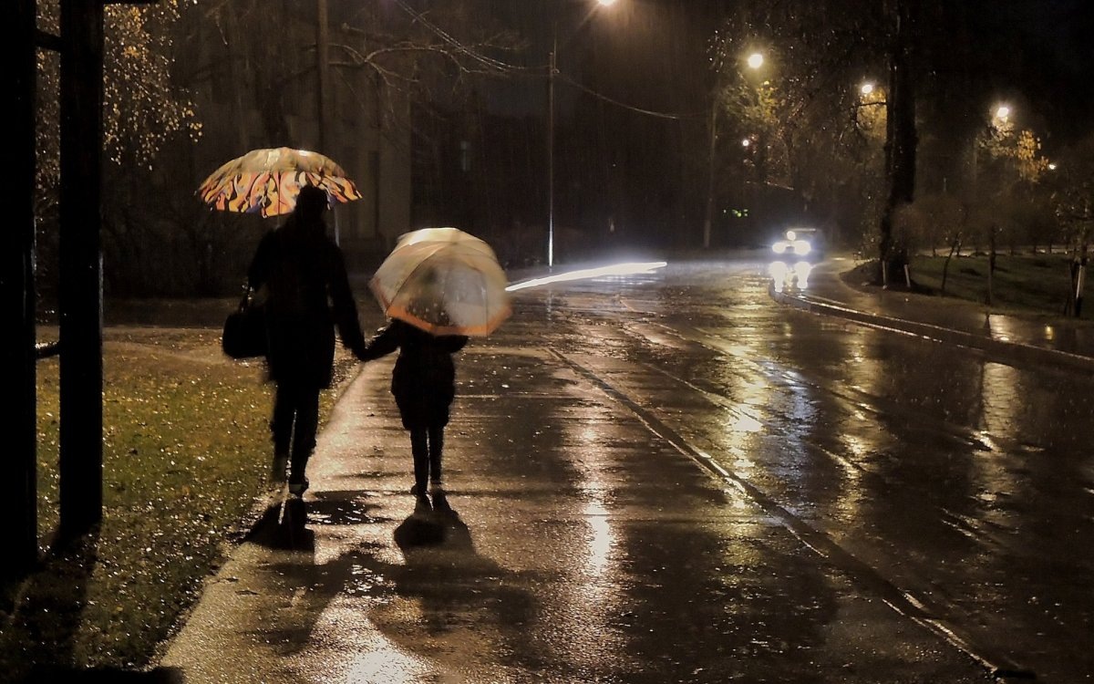 Фото из сети Интернет