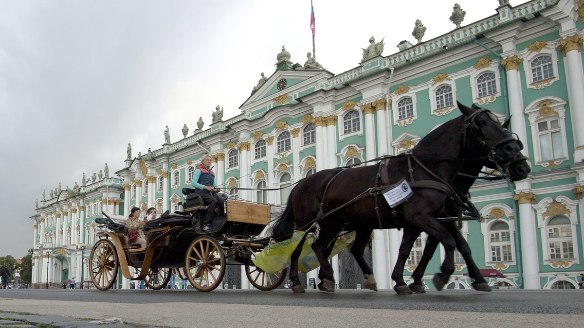 Форпост Северо-Запад / Павел Долганов