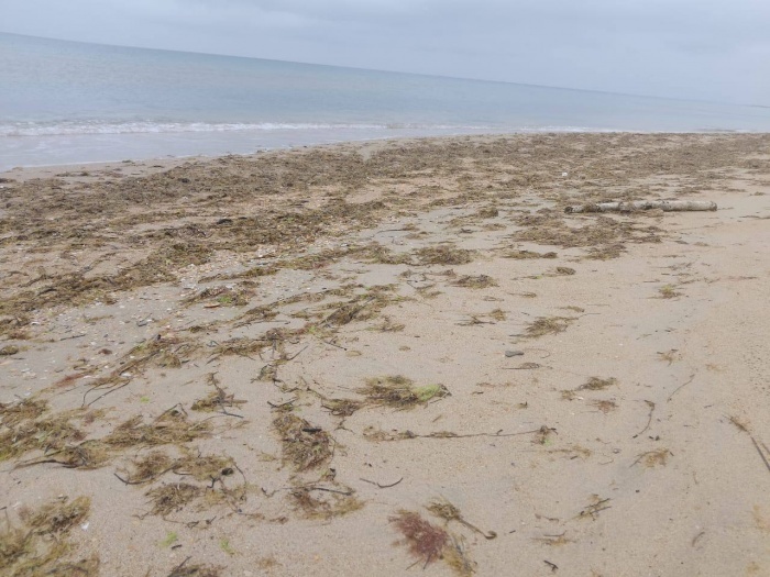    оперативный штаб Краснодарского края