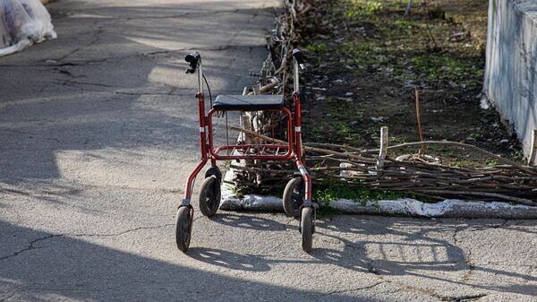    © Sputnik / Mihai Caraus