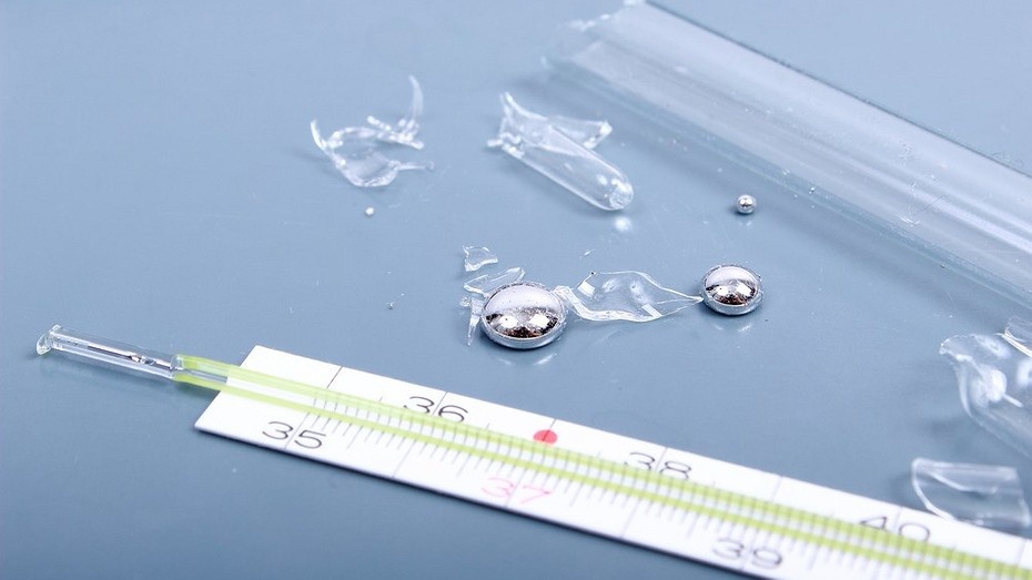 Фото здесь и далее ShutterStock/Fotodom.ru