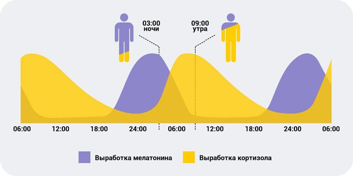 Циркадные ритмы мелатонина и кортизола: гормоны сна и бодрости