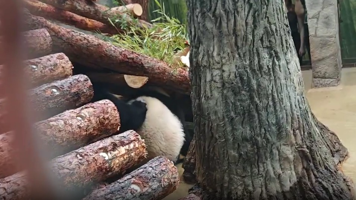    Фото: Скриншот из Telegram-канала Светланы Акуловой