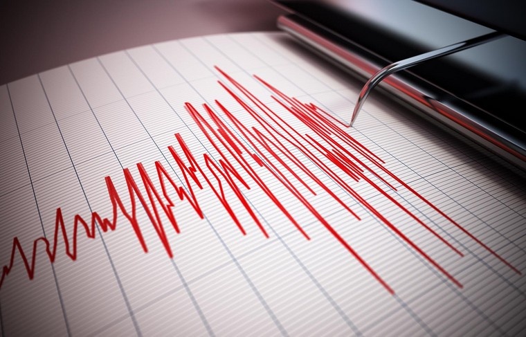    Shutterstock/FOTODOM