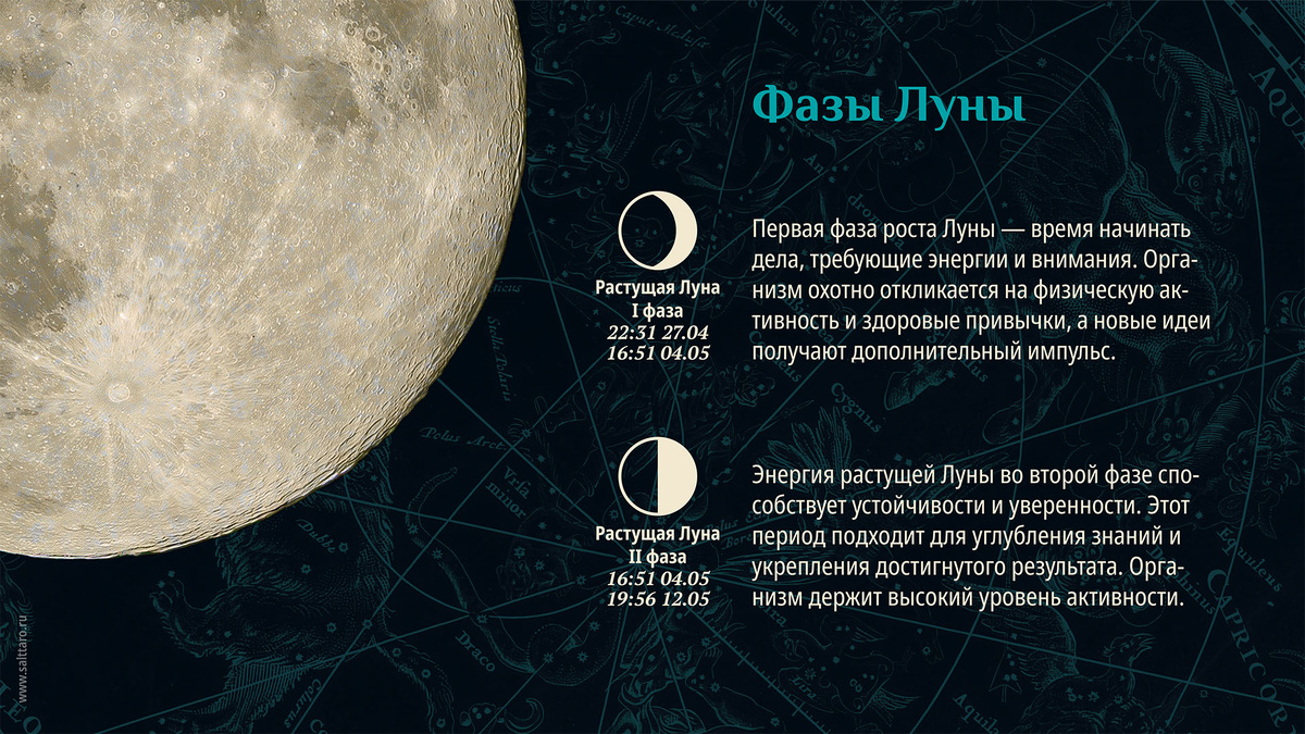 Лунный календарь на неделю. Школа "Соль Таро"
