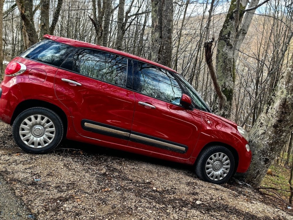 Здравствуй, дерево!