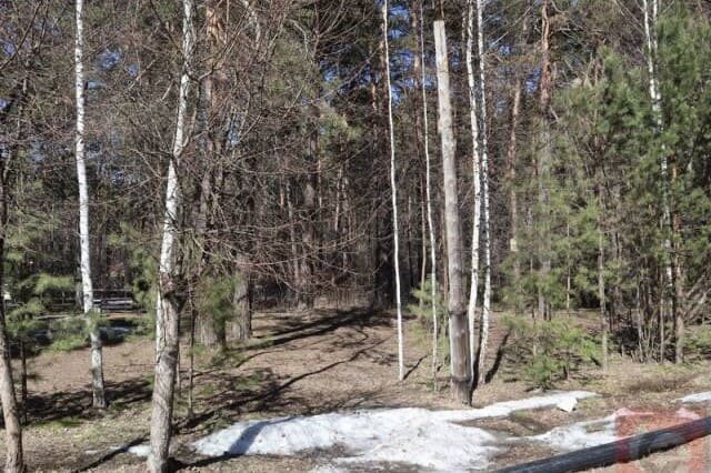    Фото: "Прецедент"