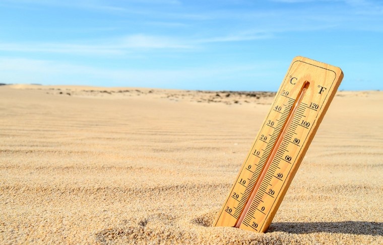    Shutterstock/FOTODOM