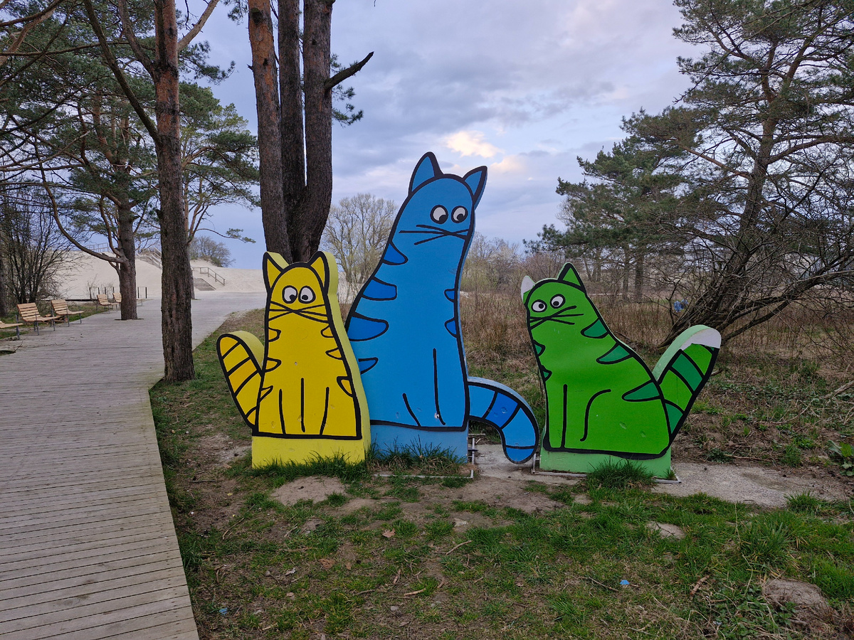 Город кошек