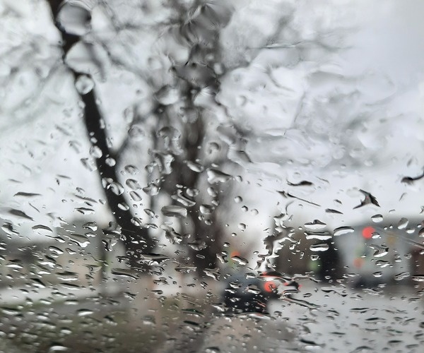    Фото Натальи Никитиной. admin