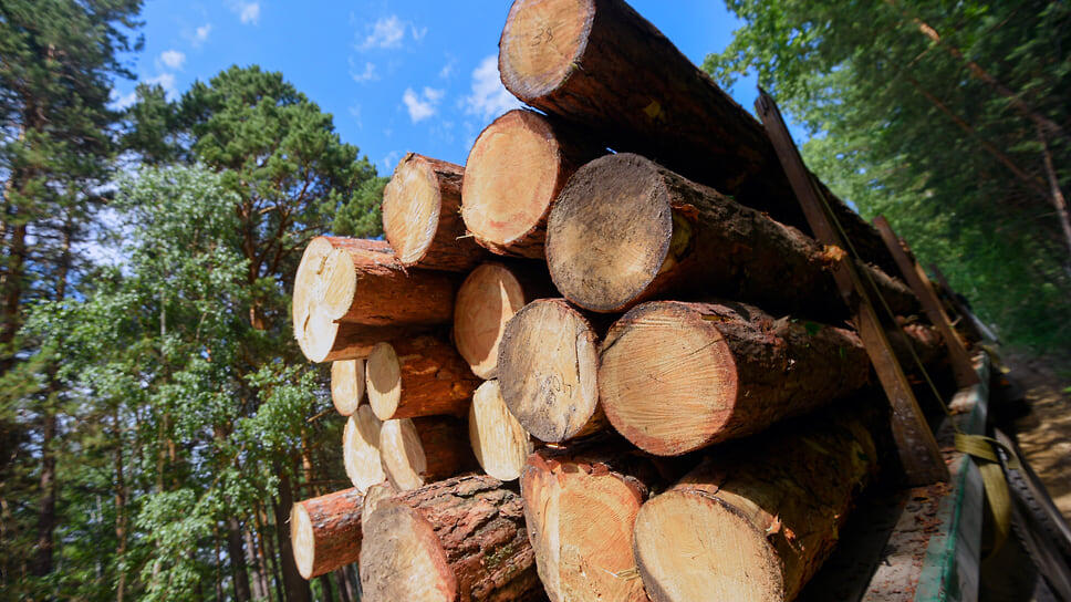 Фото: Влад Некрасов / Коммерсантъ