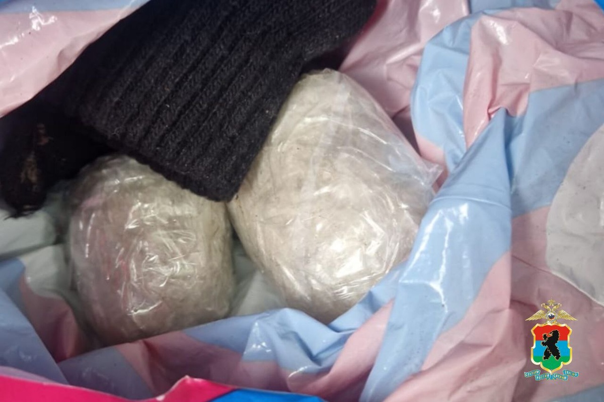    Фото: Полиция Карелии / Telegram