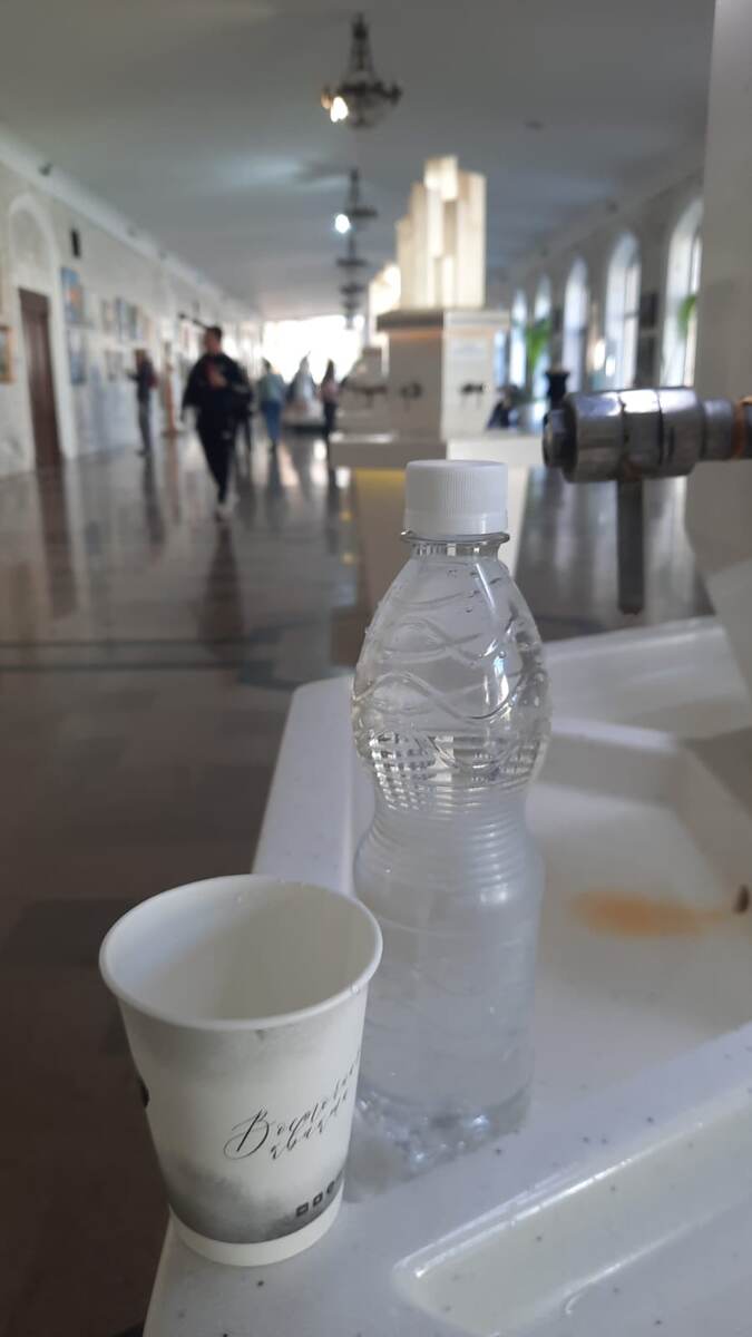 Фото автора. В Нарзанной галерее.