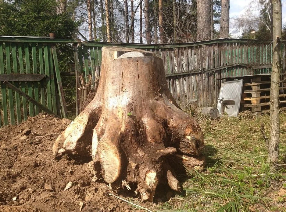 Если вы решили самостоятельно убрать пень, важно выбрать подходящий метод, который будет эффективным, безопасным и не слишком трудоёмким. 