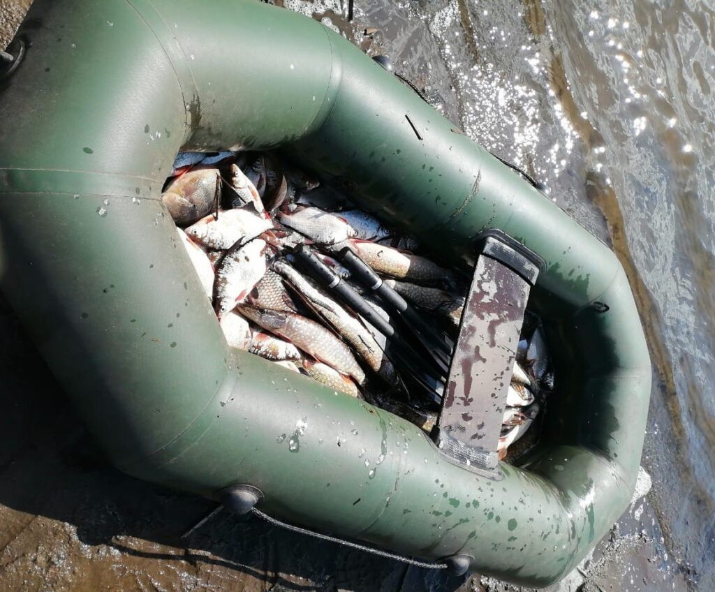 Фото: Госкомитет РТ по биоресурсам