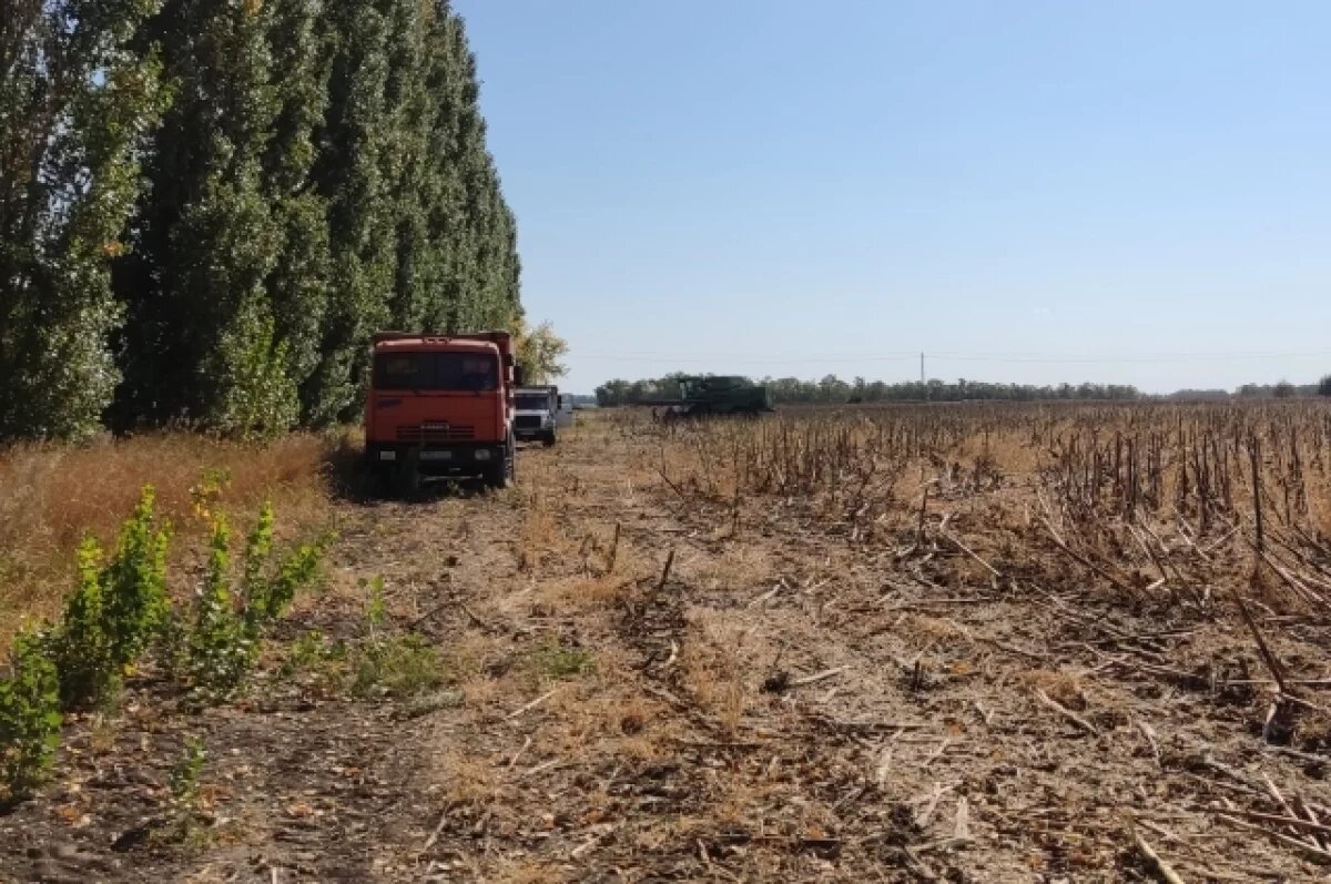    Следствие по делу колхоза имени Мясникяна Ростовской области снова продлили