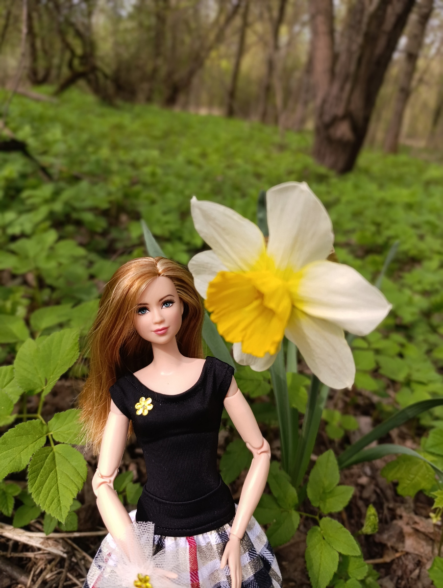 Вот и нарцисс нашли