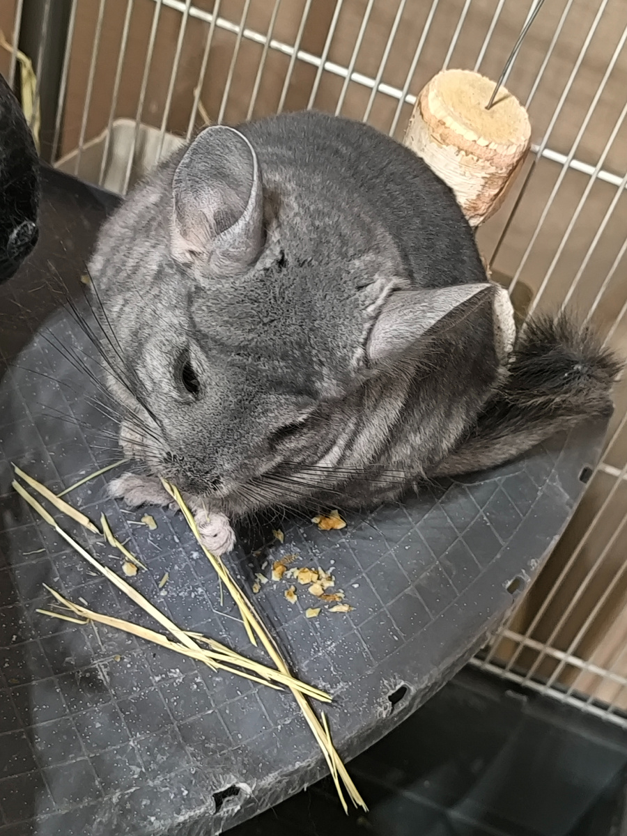 (© Анна, «Маяк энерджайзера»)