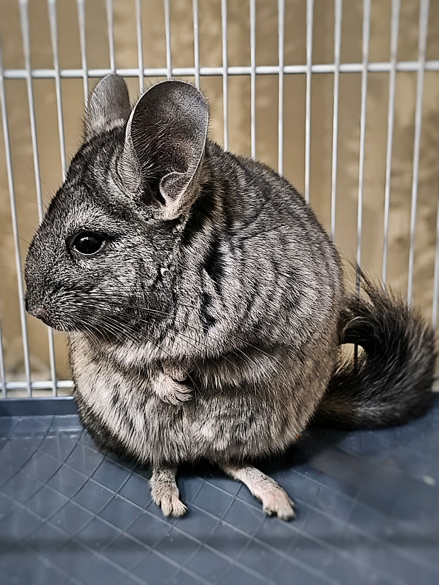 (© Анна, «Маяк энерджайзера»)