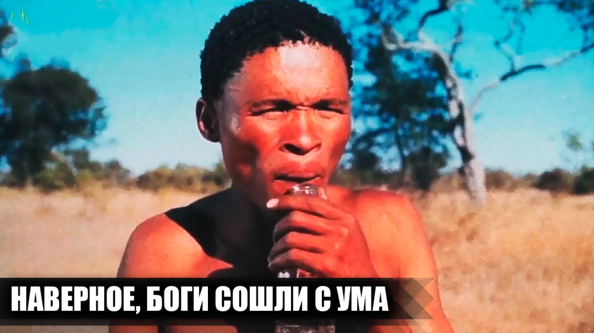 Как снимали фильм "Наверное, боги сошли с ума": 15 интересных фактов о фильме
