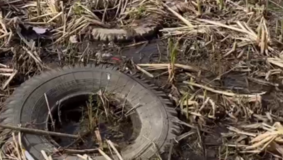    Мусор в парке "Юбилейном". Источник: В курсе 22