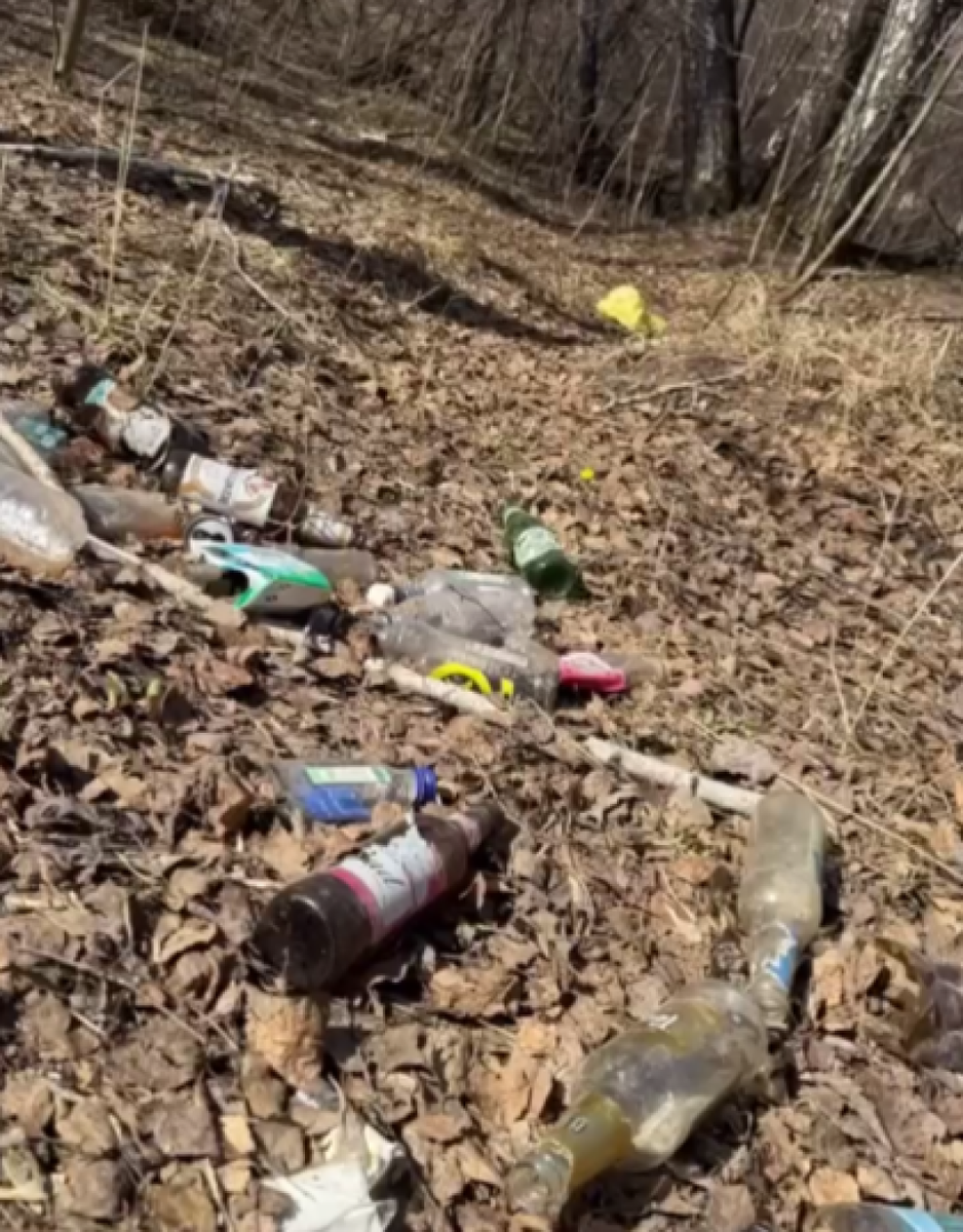    Мусор в парке "Юбилейном". Источник: В курсе 22