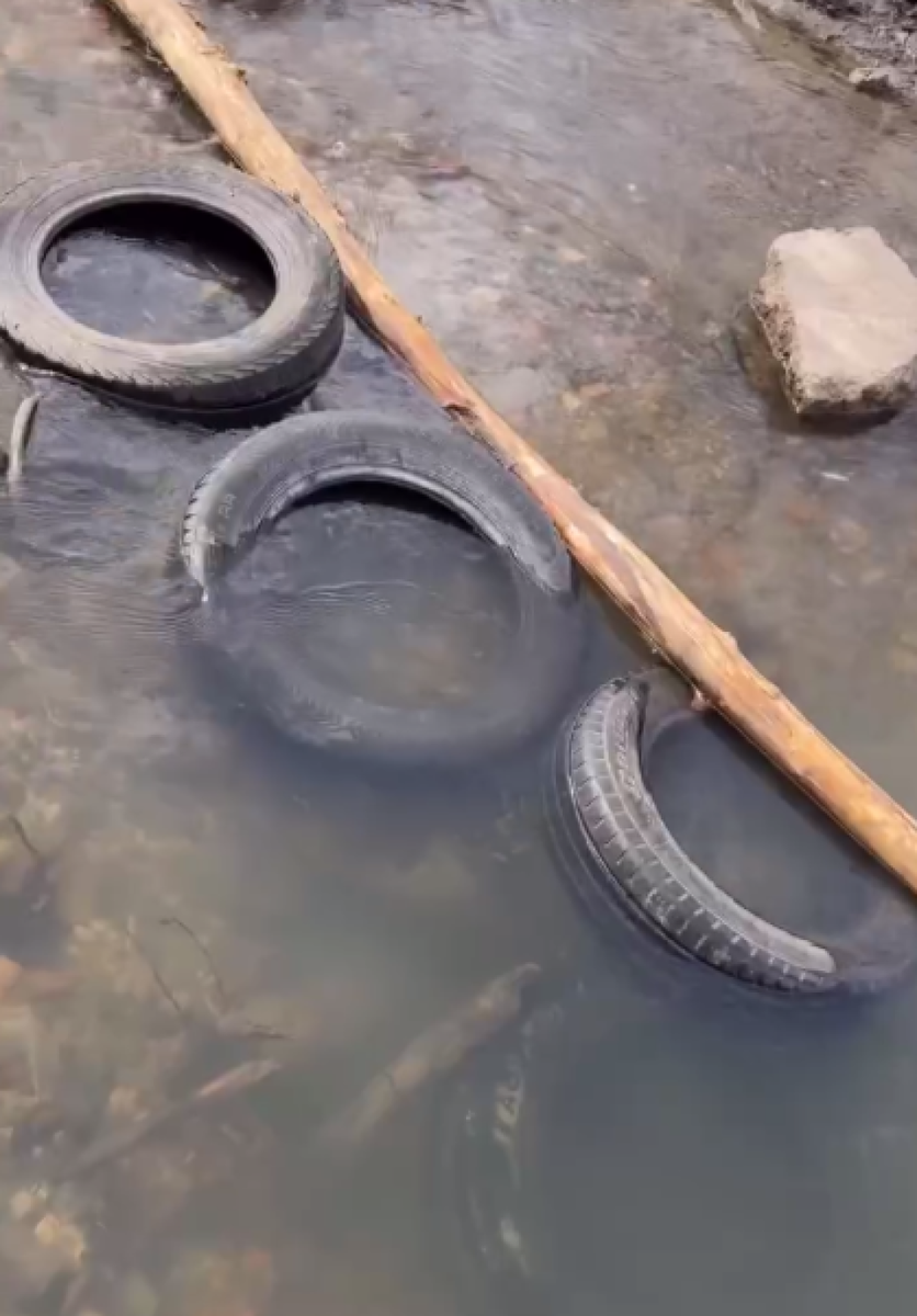    Мусор в парке "Юбилейном". Источник: В курсе 22